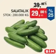 SALATALIK KG
